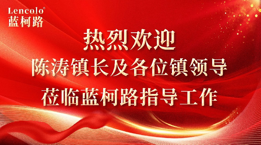 心系企業，情暖藍柯路——陳鎮長及鎮領導團隊親臨指導，共繪發展藍圖